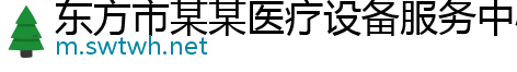 东方市某某医疗设备服务中心